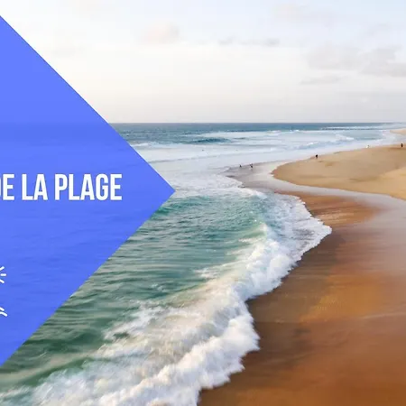 Le Shaka - * Seignosse