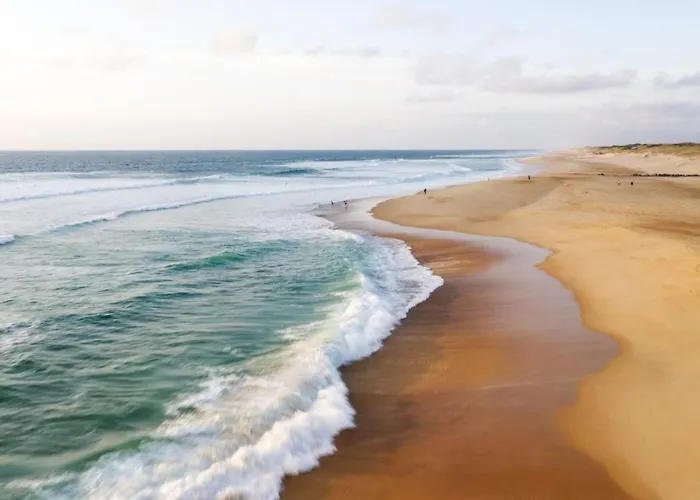 Le Shaka - Apartment